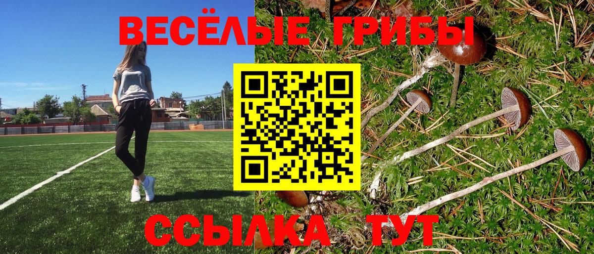 Псилоцибиновые грибы мицелий Рубцовск