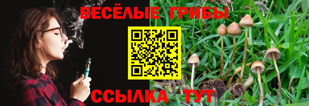 Псилоцибиновые грибы Magic Shrooms  Вход с VPN  Галлюциногенные грибы мицелий  Рубцовск 